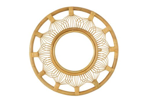 The Whisker Mirror