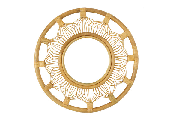 The Whisker Mirror